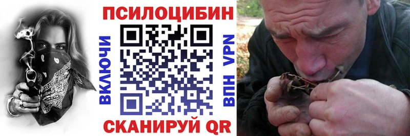 Псилоцибиновые грибы GOLDEN TEACHER  Купить  Зима 