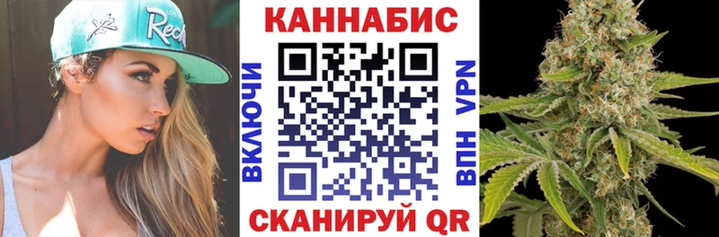 Конопля SATIVA & INDICA  Купить где  Зима 